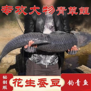 大物花生蚕豆钓青鱼颗粒黑坑专用鲳鱼花生饵料蚕豆雨神青塘颗粒