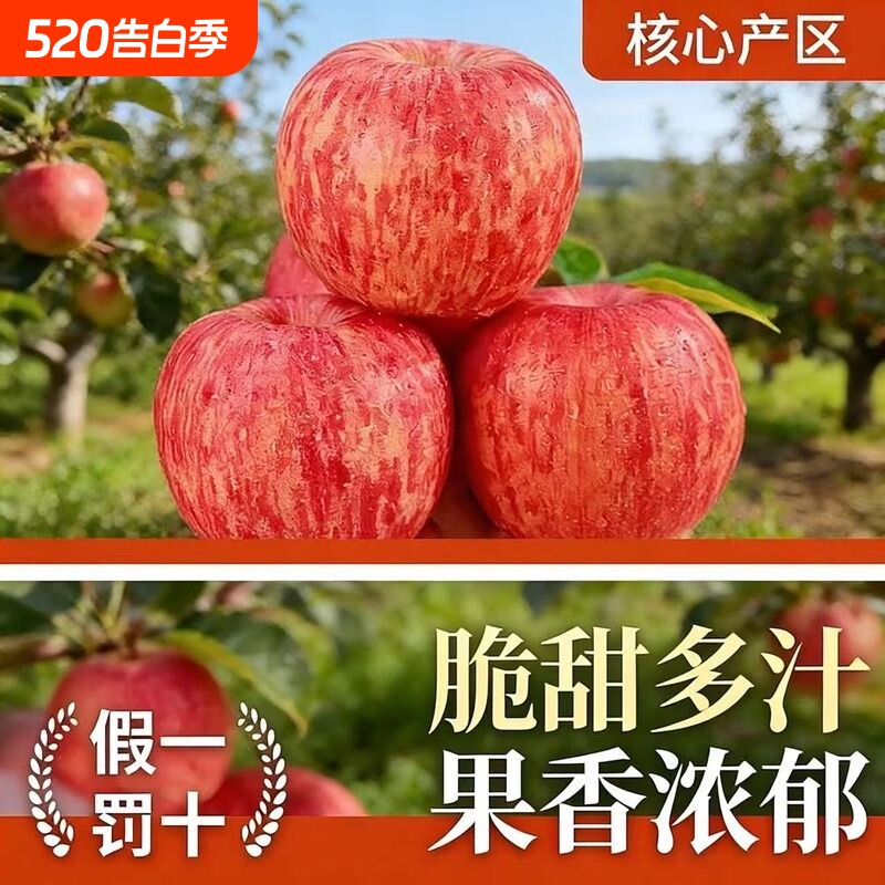 陕西正宗洛川红富士苹果当季新鲜水果整箱脆甜多汁产地直发整箱