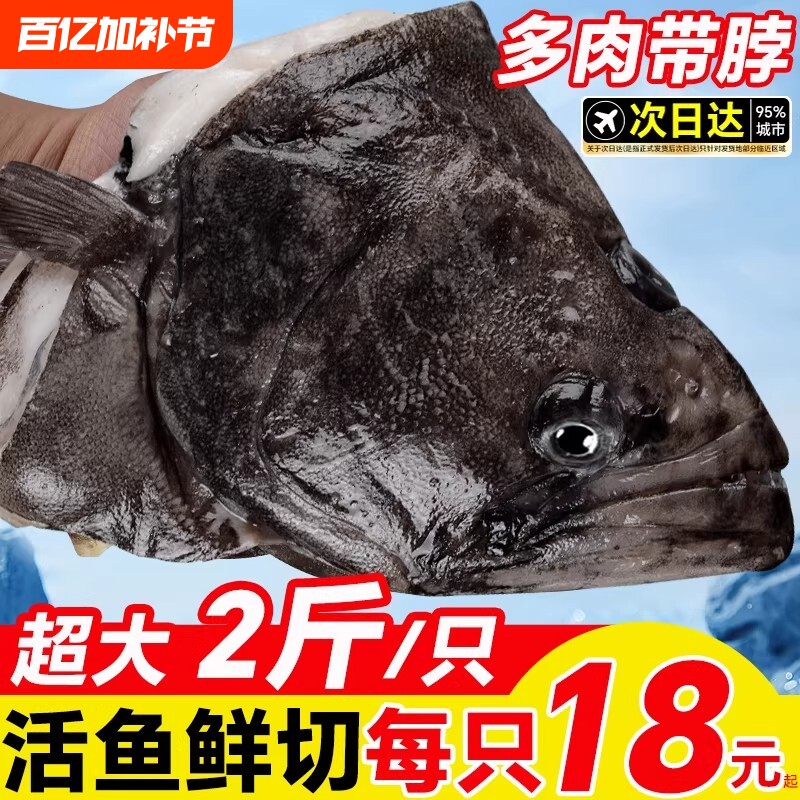 深海鲽鱼整条蝶鱼中段碟鱼新鲜冷冻海水鱼偏口鱼鸦片鱼比目鱼鲜活