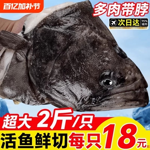深海鲽鱼整条蝶鱼中段碟鱼新鲜冷冻海水鱼偏口鱼鸦片鱼比目鱼鲜活