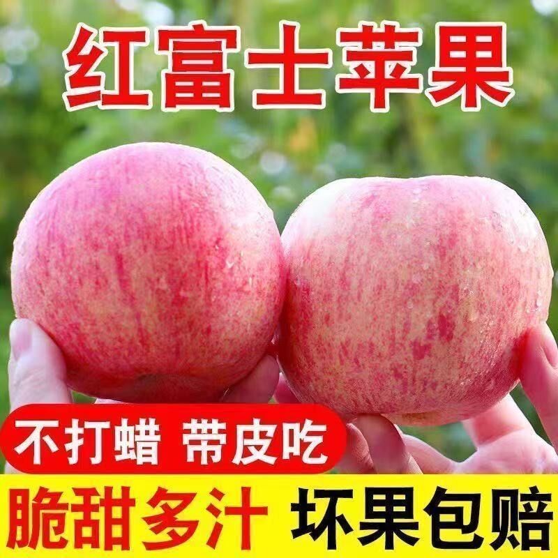 山西红富士净重4.5斤装