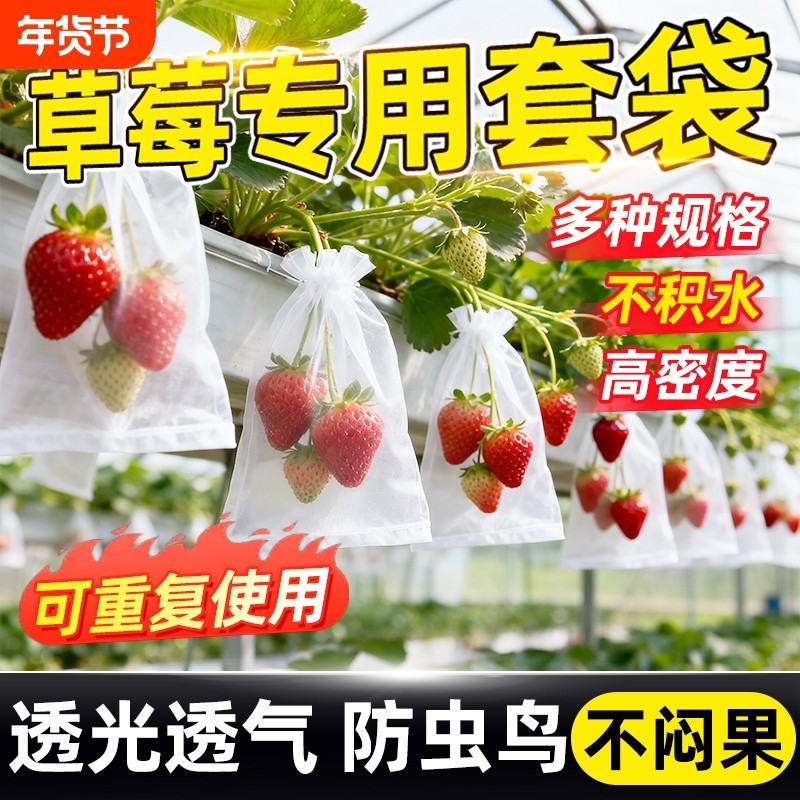 草莓套袋防鸟罩防虫袋水果蓝莓专用防鸟透气防虫纱网袋托果网葡萄
