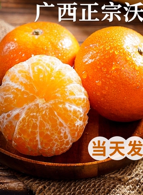 正宗广西武鸣沃柑新鲜水果当季整箱时令10沙糖斤蜜橘砂糖柑橘桔子
