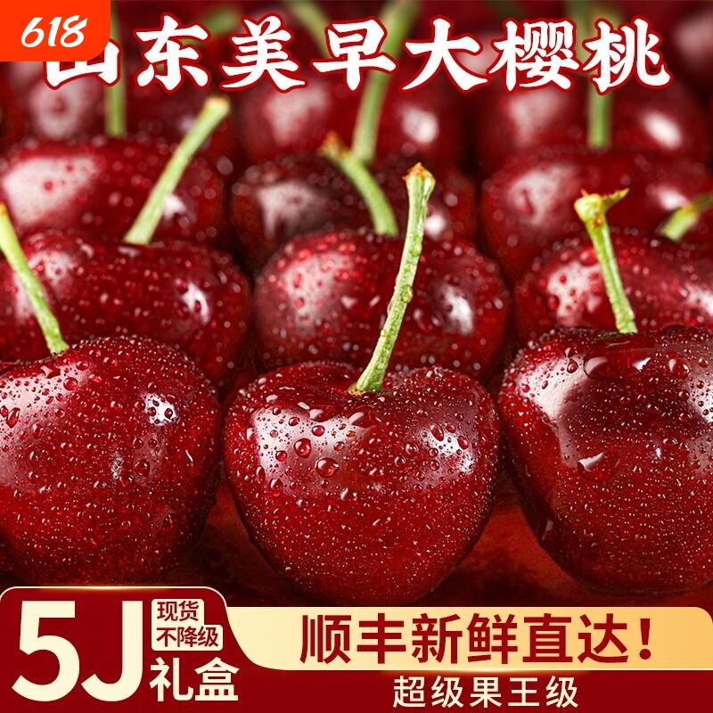 山东大樱桃  美早大樱桃新鲜水果山东车厘子脆甜多汁现摘现发