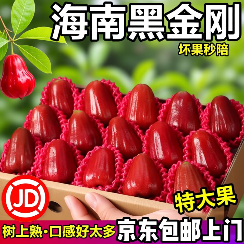 顺丰京东海南三亚黑金刚莲雾精品大果脆甜新鲜包邮连雾礼盒装年货