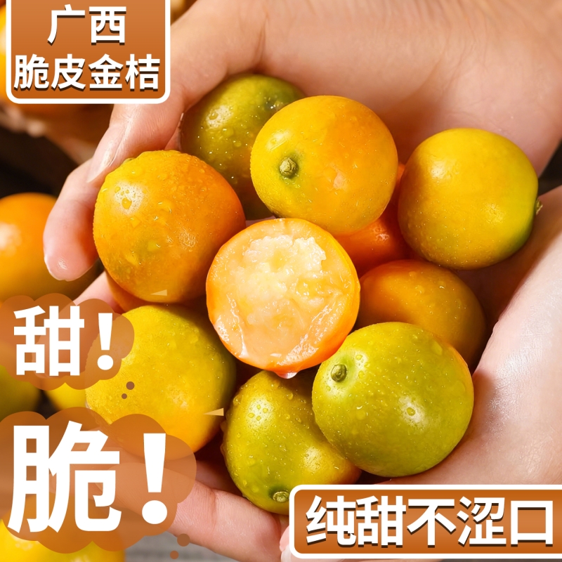 正宗广西脆皮金桔新鲜水果当季现摘甜蜜小金柑桔金橘融安特产整箱