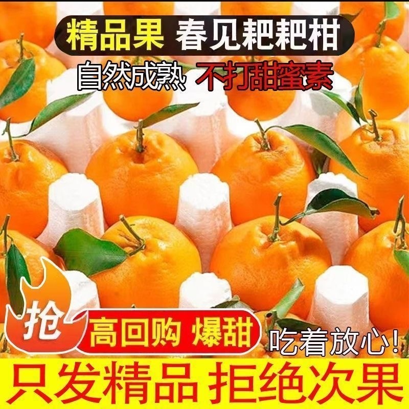 正宗四川春见耙耙柑10斤新鲜水果丑柑桔橘子现摘当季粑粑柑礼箱,水产肉类/新鲜蔬果/熟食,桔子,淘宝优惠券,粉丝福利购,淘宝优惠卷