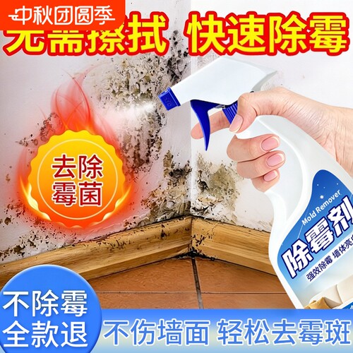 墙体除霉剂去霉斑霉菌清洁剂
