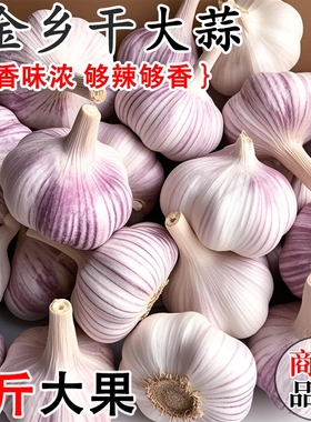山东金乡紫皮大蒜头干蒜蔬菜批发蒜网兜特大s新鲜种植优质大果