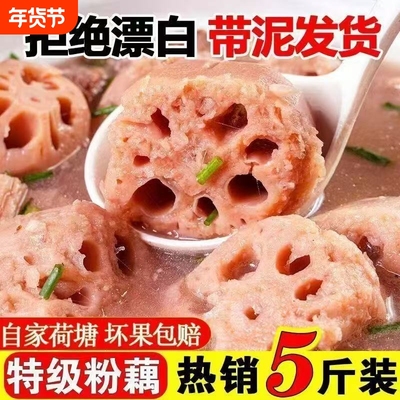 洪湖莲藕新鲜现挖正宗湖北煲汤炖汤莲藕粉藕糖藕糯米藕藕