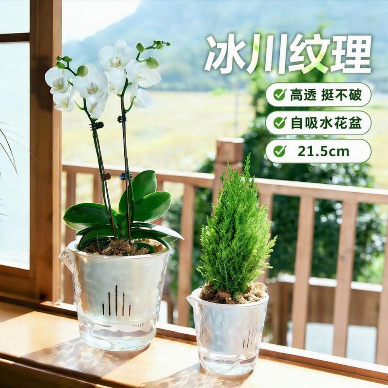 纹透明懒人自吸水花盆水培养植物水仙花塑料仿玻璃特大号绿植桌面