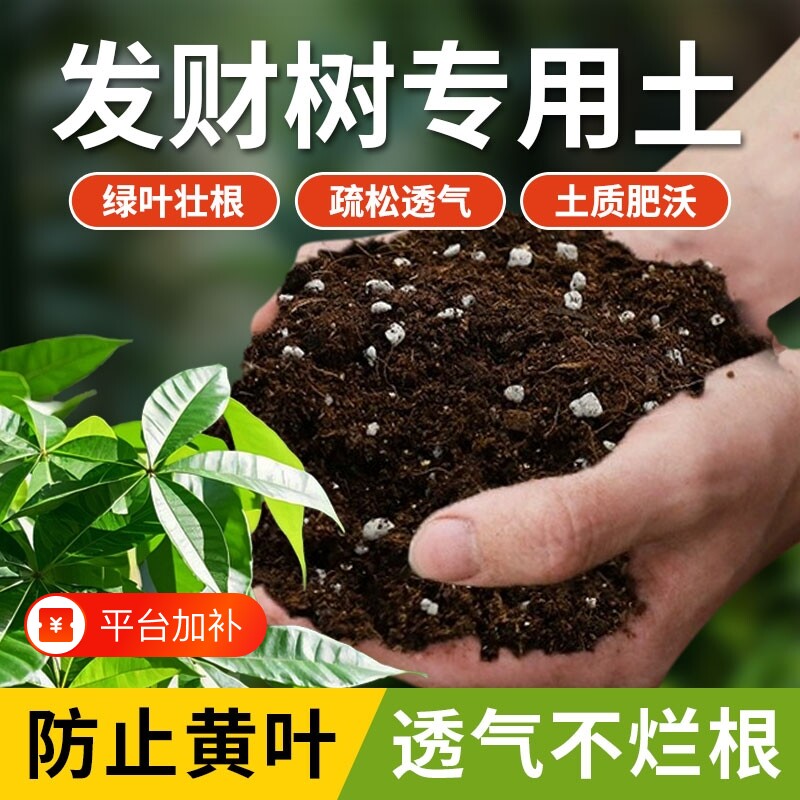 发财树专用土营养土花土盆栽肥料专用肥土家用种植土壤疏松酸性