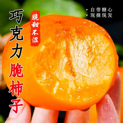 正宗广西脆柿巧克力应季柿子新鲜水果无核整箱批发价冰糖甜柿柿子