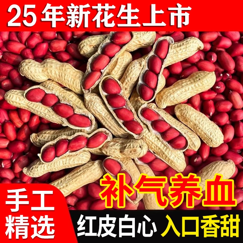 红皮花生25年农家新鲜带壳生熟四粒红花生米自种晒干炒货原味补气