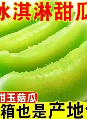 海南冰淇淋玉菇甜瓜新鲜水果9斤特大果应当季绿宝石香瓜蜜瓜整箱