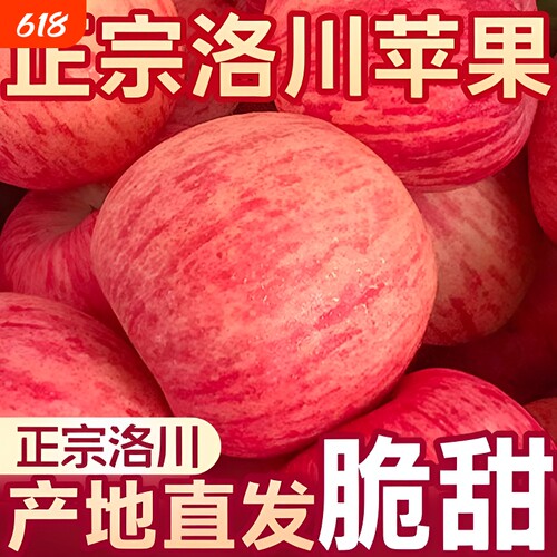 陕西正宗洛川红富士苹果产地直发