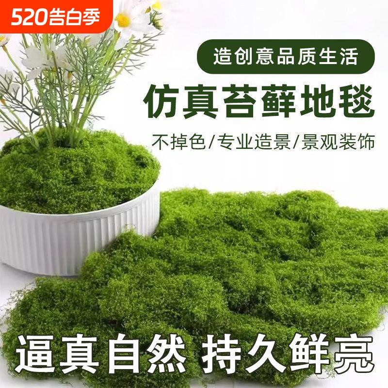 仿真苔藓草皮盆景盆栽造景花盆铺面草微景观diy丝状苔藓庭院装饰