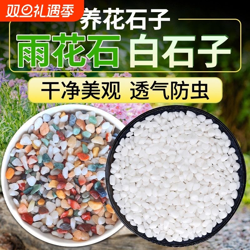 七彩石水培多肉铺面花盆垫底彩色石子白石天然养花园艺白鱼缸底砂