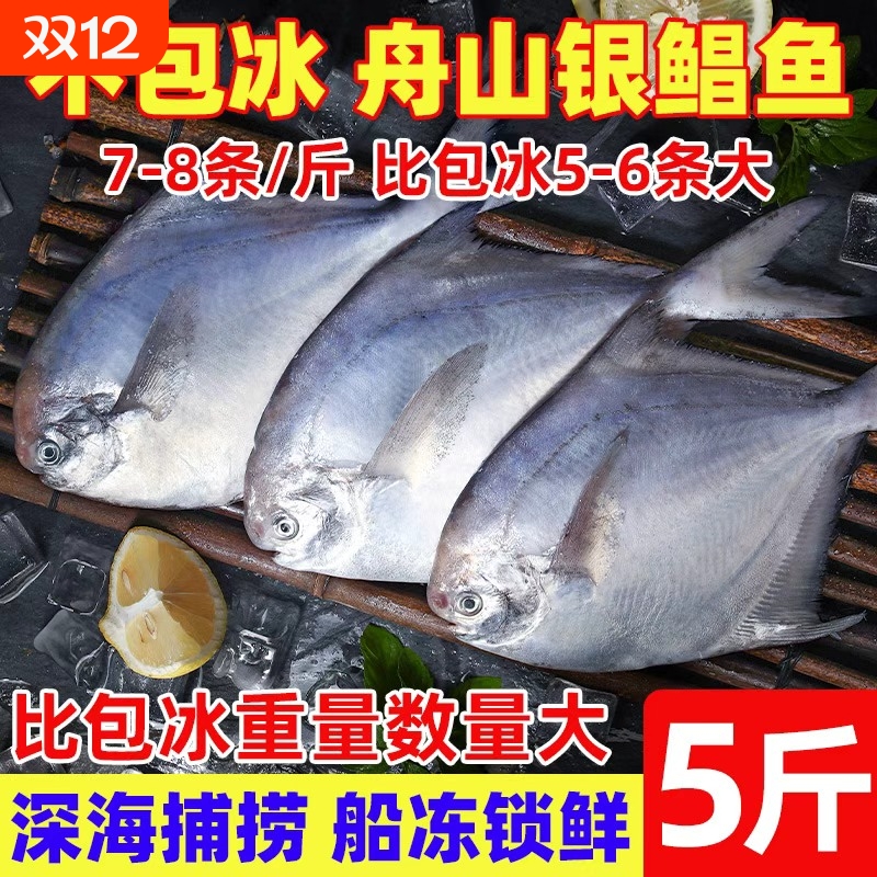 舟山银鲳鱼野生鲜活冷冻鲳鱼深海鱼平鱼昌鱼海鲜水产鳊鱼晶鱼一斤