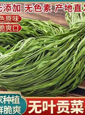 特级无叶贡菜新鲜苔干贡菜干脱水蔬菜食材苔菜干台干农家自然日晒
