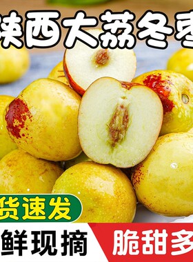 陕西大荔冬枣5斤新鲜水果包邮