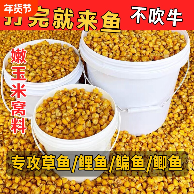 发酵老坛玉米打窝料鱼饵野钓江河水库鲫鲤草鱼饵野钓大物水库重窝