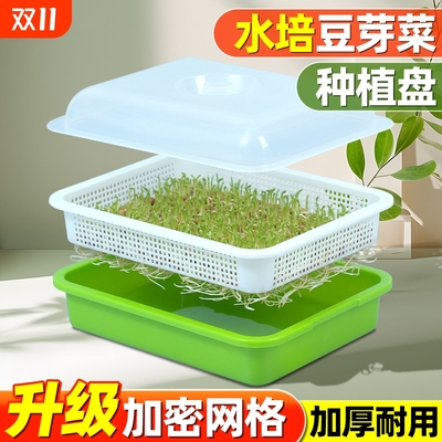 芽苗菜育苗盘豆芽发芽神器无土栽培专用盆水培家用控根板秧苗盘