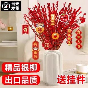 银柳真花鲜枝红色招财过年花干支水培植物室内好养绿植年宵花装饰