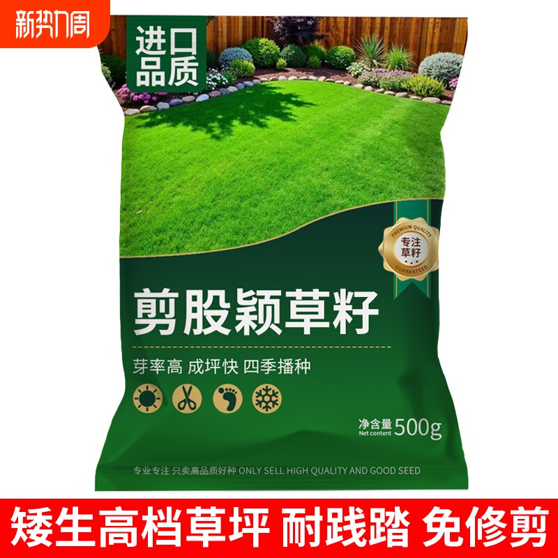 剪股颖草籽匍匐型矮生耐踏庭院高档草坪草籽四季常青北方耐寒种子