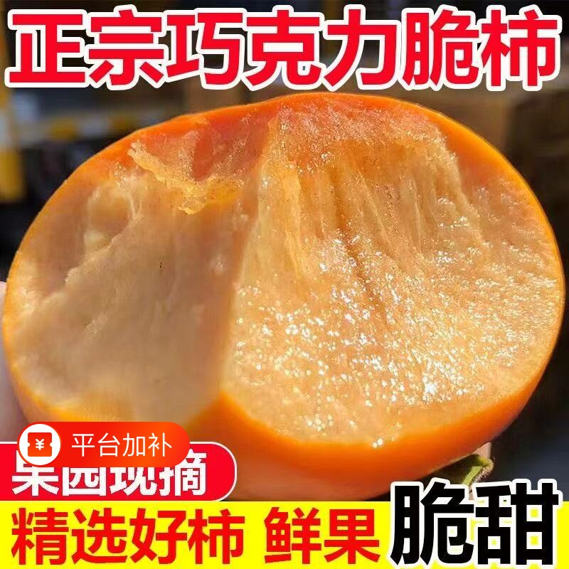 正宗阳丰脆柿新鲜应季柿子巧克力冰糖无核当季批发水果天内发货