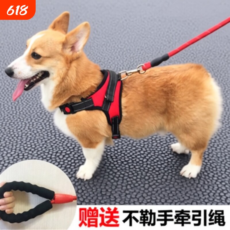 狗背带牵引绳背心式胸背带中型犬遛狗拉布拉多大型犬柯基小型犬