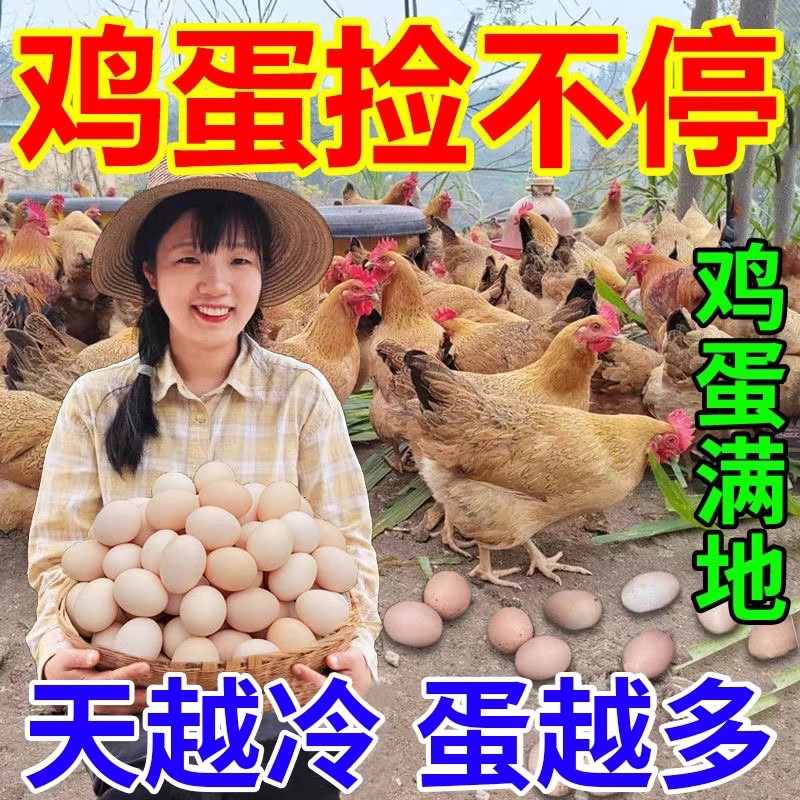 增蛋宝鸡鸭鹅鸽专用蛋多多下蛋饲料催鸡下蛋鹌鹑产蛋灵增蛋素增产