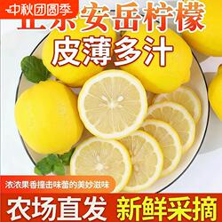 安岳柠檬黄柠檬新鲜整箱5斤商用精选大果小金桔奶茶店专用皮薄