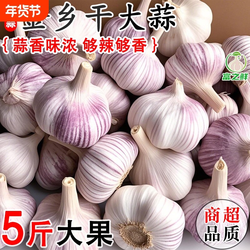 山东金乡紫皮大蒜头干蒜蔬菜批发蒜网兜特大s新鲜种植优质大果