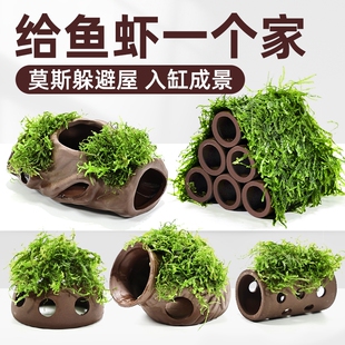 紫砂虾屋鱼缸躲避屋水草植物造景莫斯装饰水榕懒人真草鱼虾水质