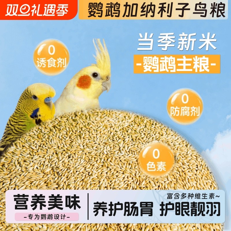 鹦鹉加纳利子鸟食饲料虎皮牡丹玄凤鸟粮黄谷子带壳小米混合粮5斤