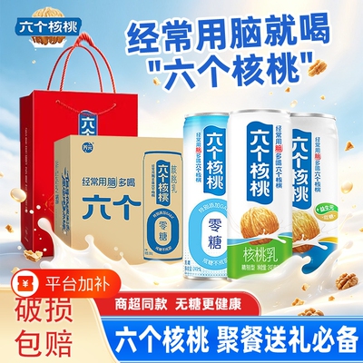 养元六个核桃蛋白核桃乳聚餐送礼
