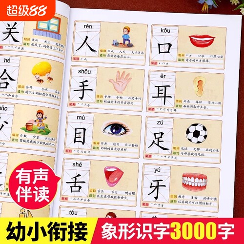 星童官有声伴读识字大王3000字