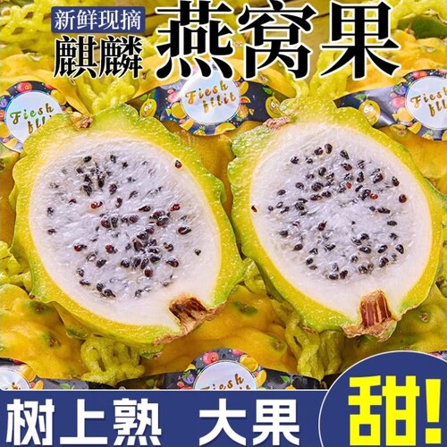 官方海南燕窝果新鲜现摘当季冰糖黄金火龙果麒麟果大果自提热带