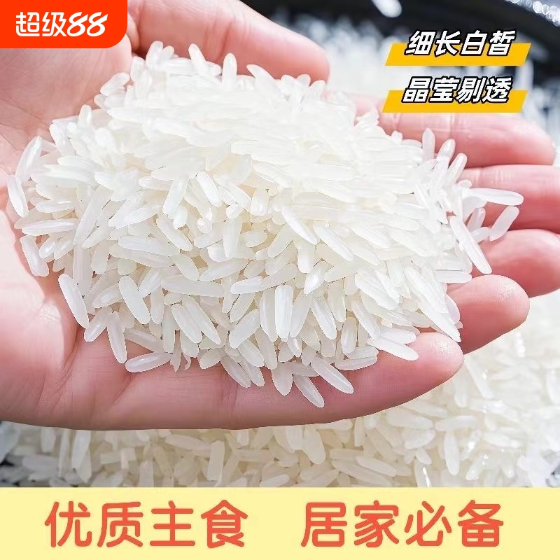 寿城猫牙香米广西丝苗米米5/10kg超长款细长粒香大米上林晚稻米业