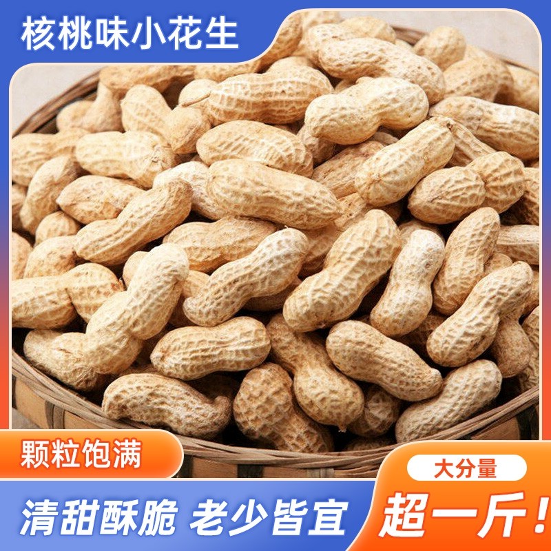 浙梅小花生500g带壳零食核桃味休闲食品炒货特产下酒菜晒干铁锅