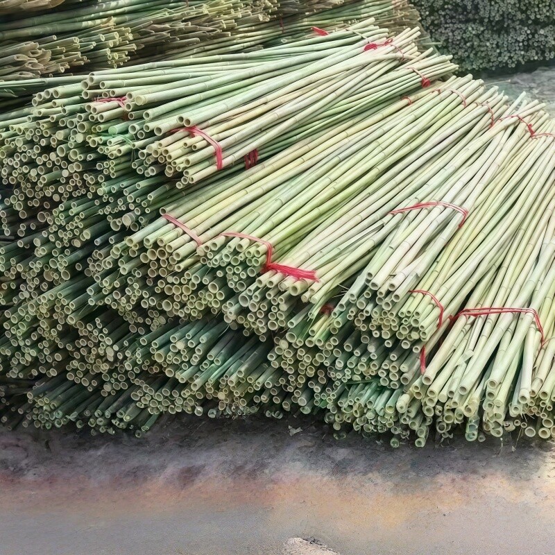 竹竿菜园搭架蔬菜黄瓜豆角架杆竹篱笆栅栏小竹子细竹竿爬藤架围栏