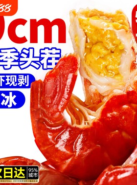 龙虾尾冷冻生鲜特大号虾球商用新鲜无冰小龙虾尾鲜冻批发10斤整箱
