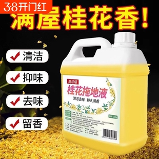 桂花木地板拖地花露水清洁剂专用清洁液瓷砖地面清洁清香去油留香