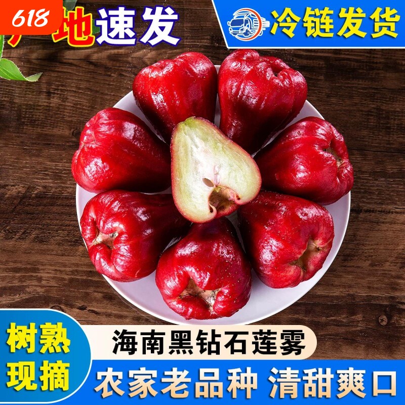 海南黑珍珠莲雾当季新鲜红宝石孕妇水果雾莲热带特产包邮现摘稀有