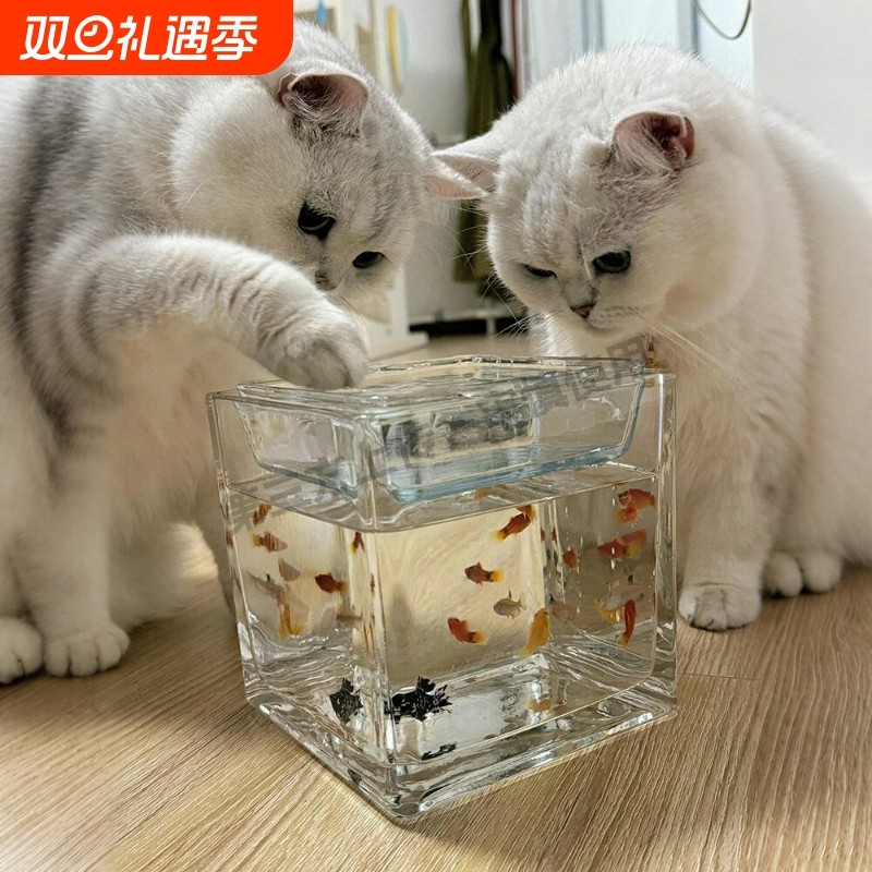 鱼缸式猫碗猫咪骗水神器狗狗高脚水碗保护颈椎不易打翻2025年新款