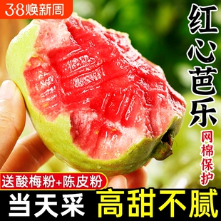红心芭乐果新鲜水果包邮应季时令胭脂红巴乐整箱番石榴生鲜鲜果