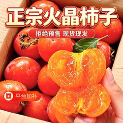 陕西临潼火晶柿子新鲜水果45枚应季当季整箱包邮脆水晶软甜小柿子