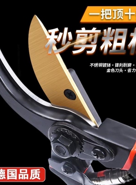 精工修剪树枝剪刀专用花木剪修枝剪刀果树木剪子园艺园林家用