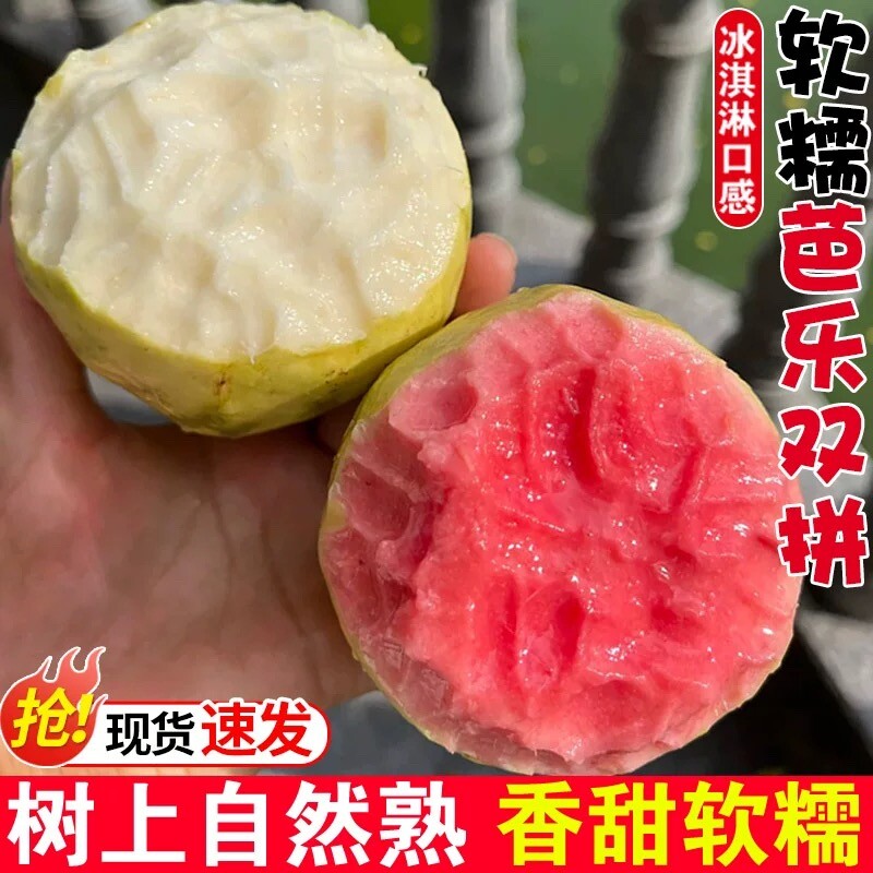 软糯奶油芭乐番石榴新鲜冰淇淋小香果孕妇水果当季双拼红心现摘